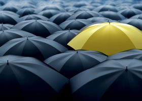 An image of lots of black umbrellas, with one yellow umbrella slightly above the rest 