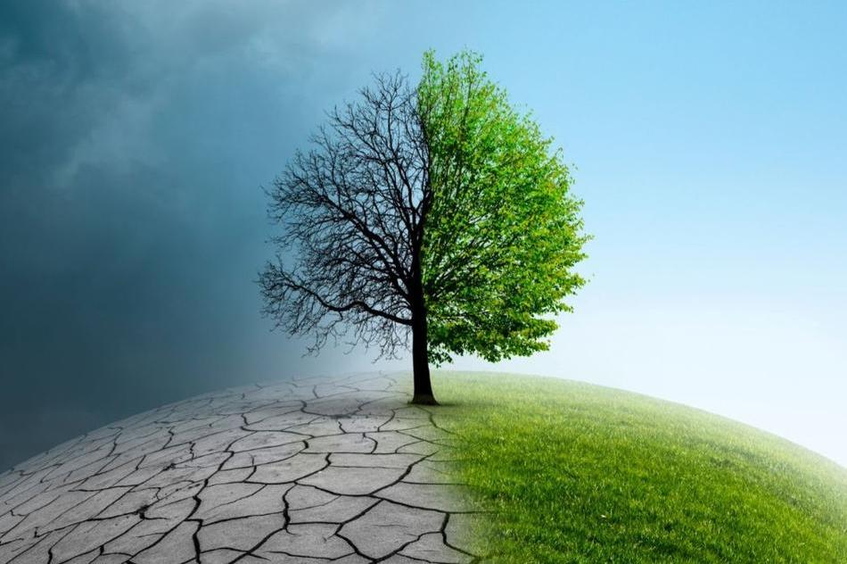 Earth - Canva.JPG 1
