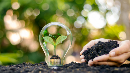 A lightbulb with a green plant growing inside it, with a pair of hands holding soil to the right of it. The background is trees